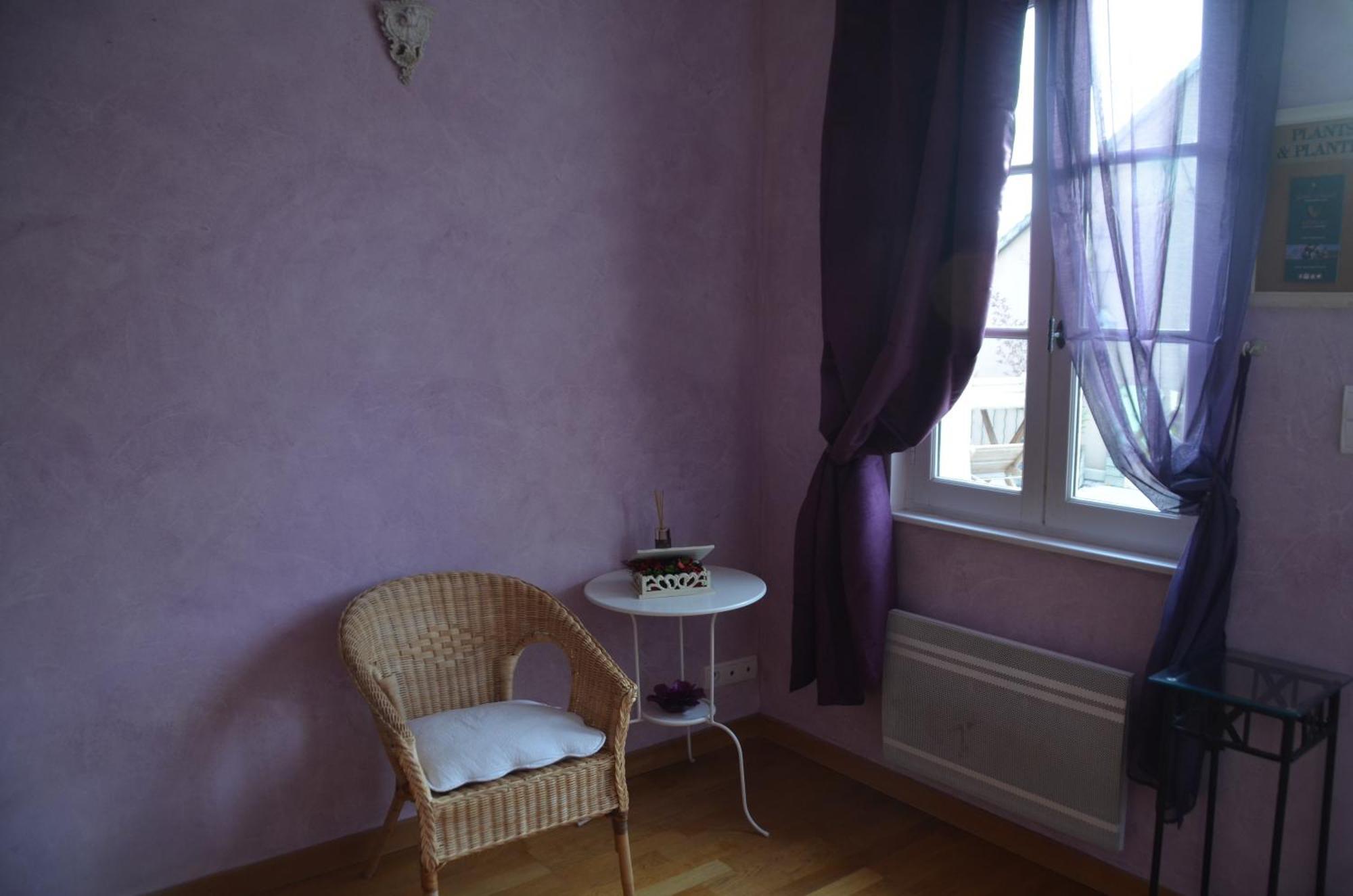 Bed and Breakfast Domaine Maltoff Coulanges-la-Vineuse Номер фото